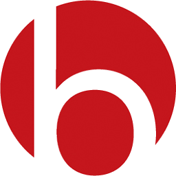 Icon Logo